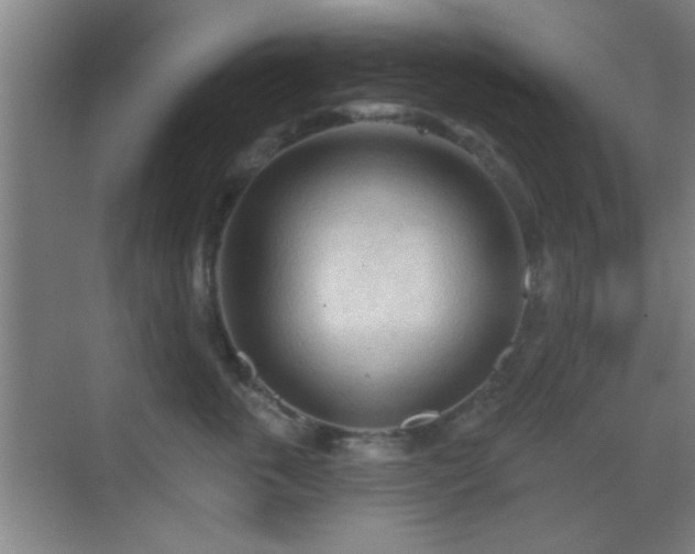 X0000069790763200605191038