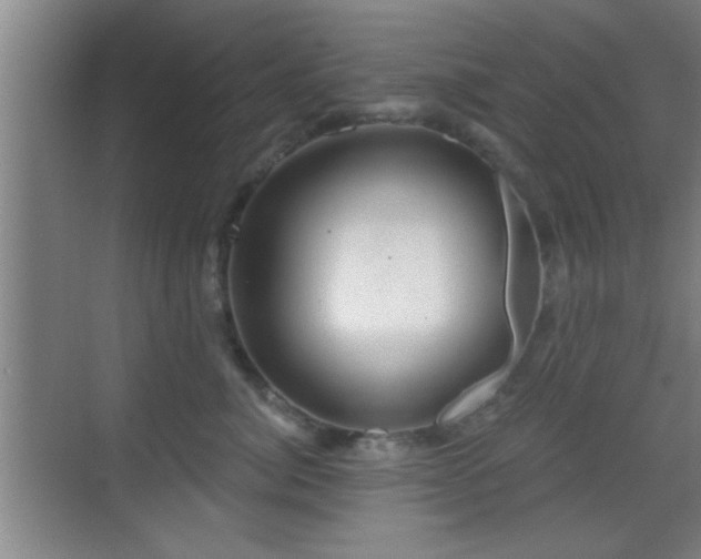 X0000069790764200605191038