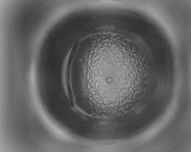 X0000069790765200605191038