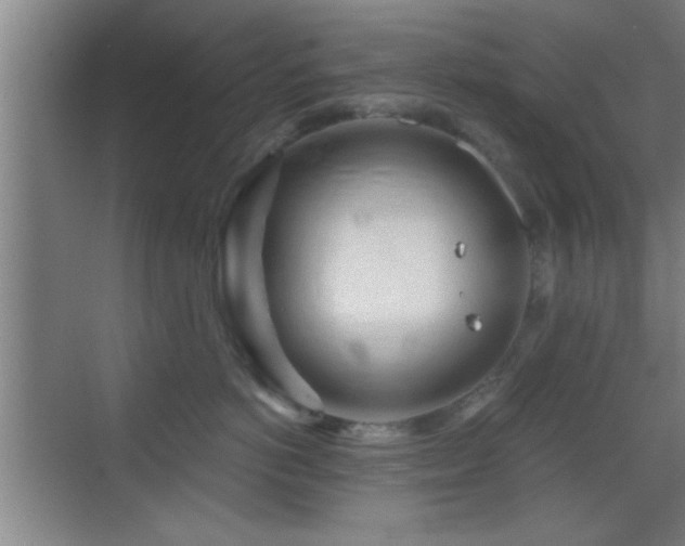 X0000069790766200605191038