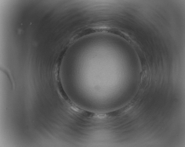 X0000069790767200605191038