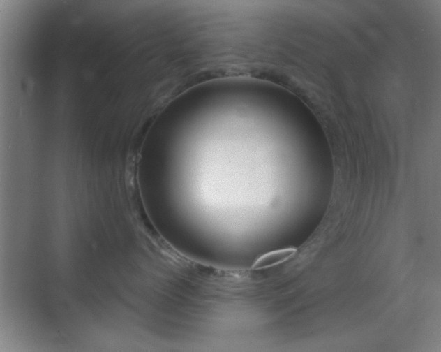 X0000069790768200605191038