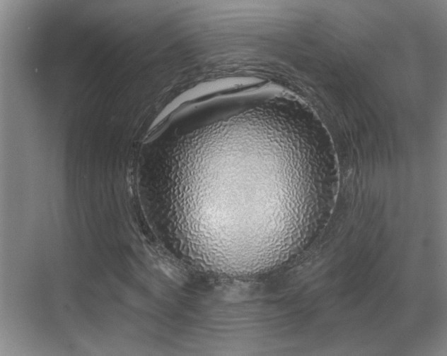 X0000069790772200605191037