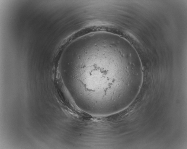 X0000069790775200605191037