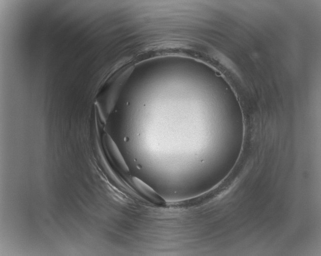 X0000069790777200605191037