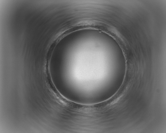 X0000069790778200605191037