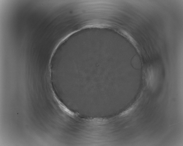 X0000069790779200605191037