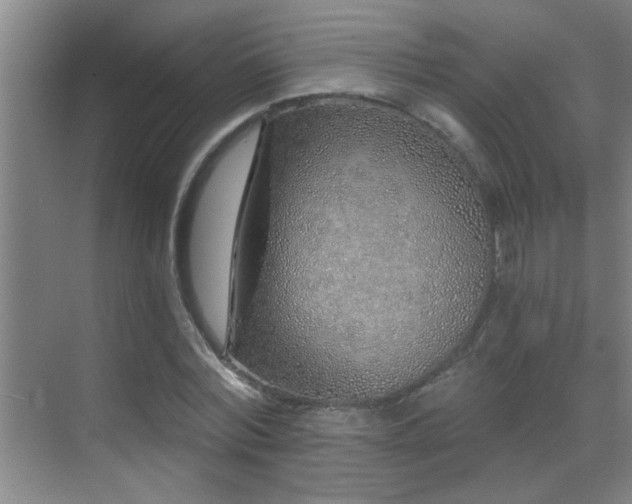 X0000069790780200605191037