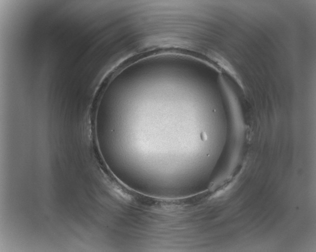 X0000069790782200605191037