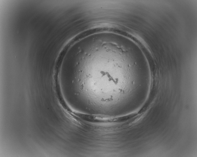 X0000069790783200605191037