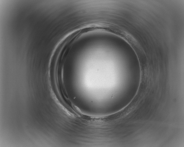 X0000069790784200605191037