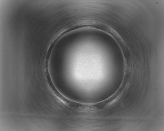 X0000069790786200605191037