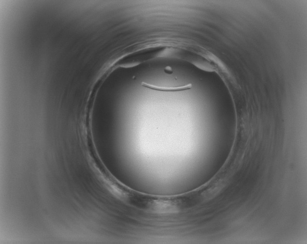 X0000069790794200605191037