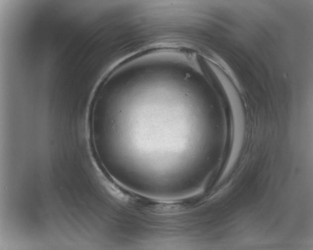 X0000069790795200605191037