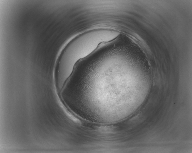 X0000069790796200605191037