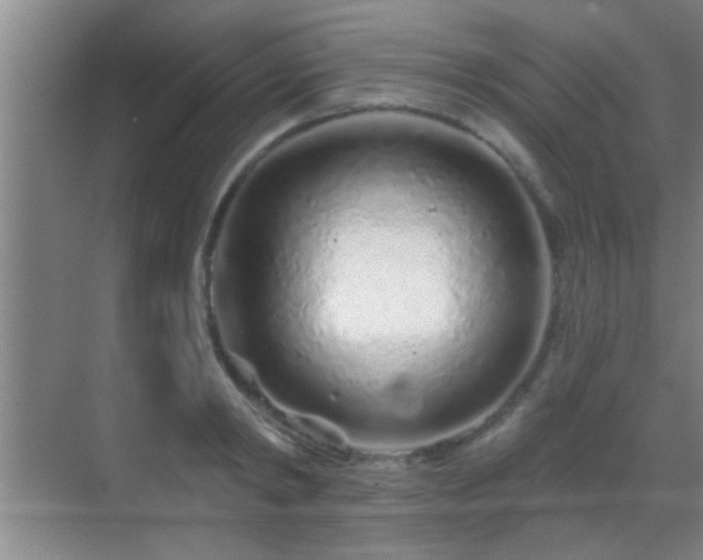 X0000069790798200605191037