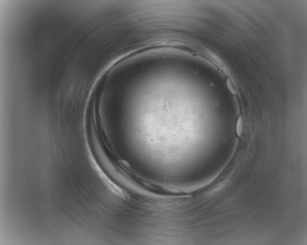 X0000069790803200605191037