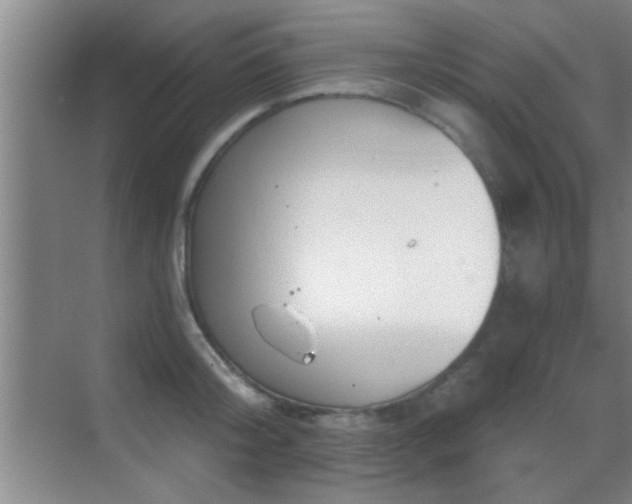 X0000069790804200605191037