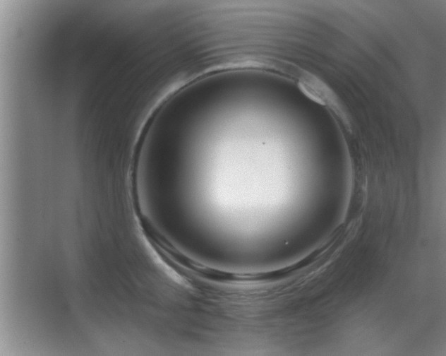 X0000069790805200605191037