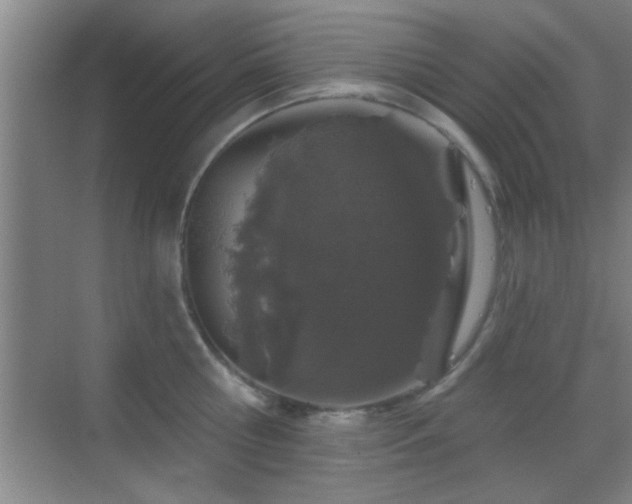 X0000069790810200605191037