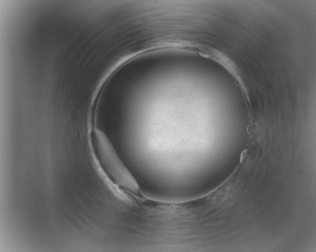 X0000069790811200605191037