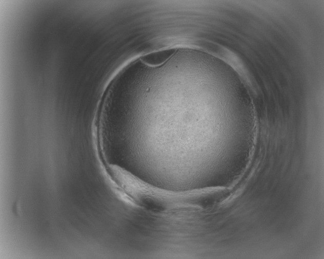 X0000069790814200605191037