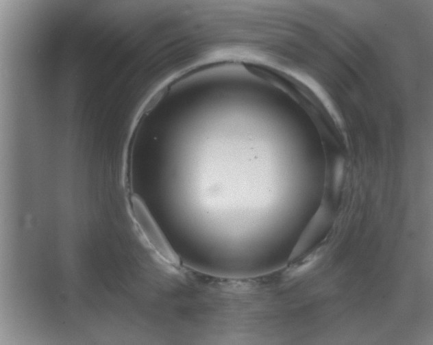 X0000069790815200605191037