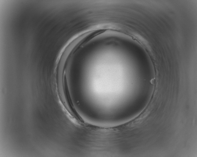 X0000069790816200605191037