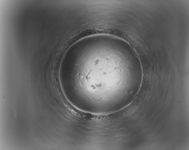 X0000069790817200605191036