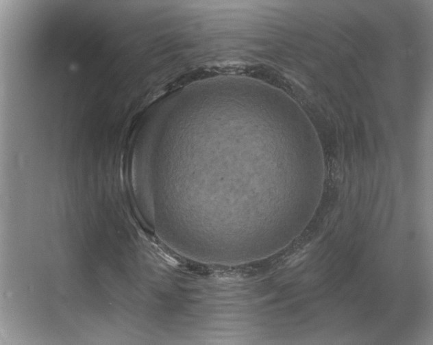 X0000069790818200605191036