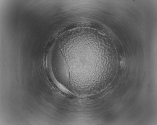 X0000069790819200605191036