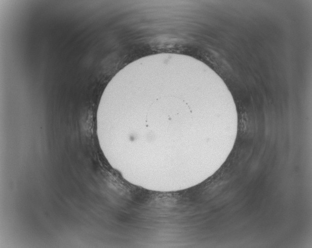 X0000069790820200605191036