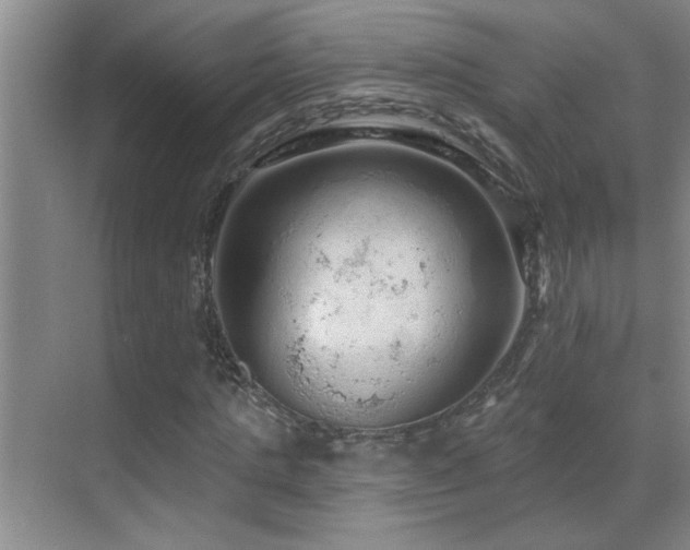 X0000069790821200605191036