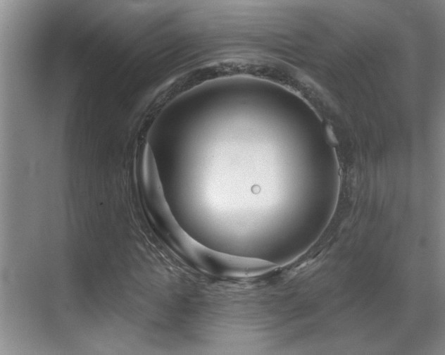 X0000069790822200605191036