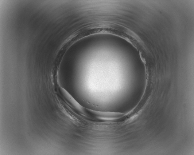 X0000069790826200605191036