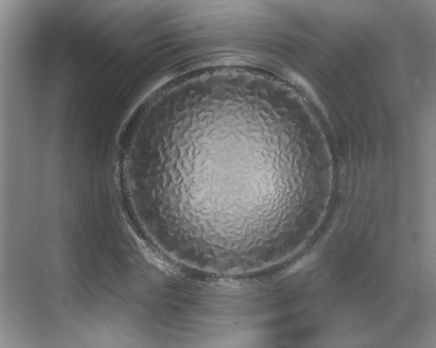 X0000069790827200605191036