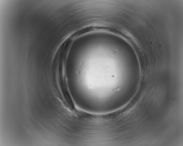 X0000069790829200605191036