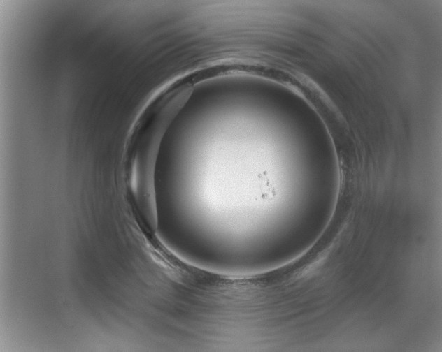 X0000069790830200605191036