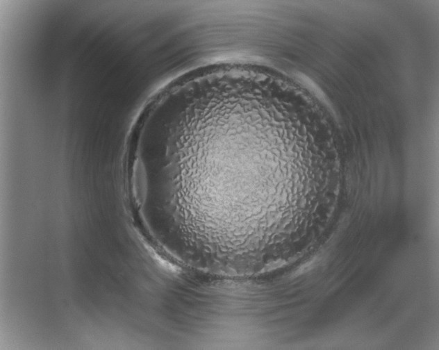 X0000069790831200605191036