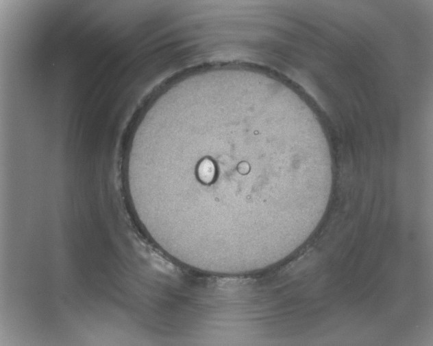 X0000069790832200605191036