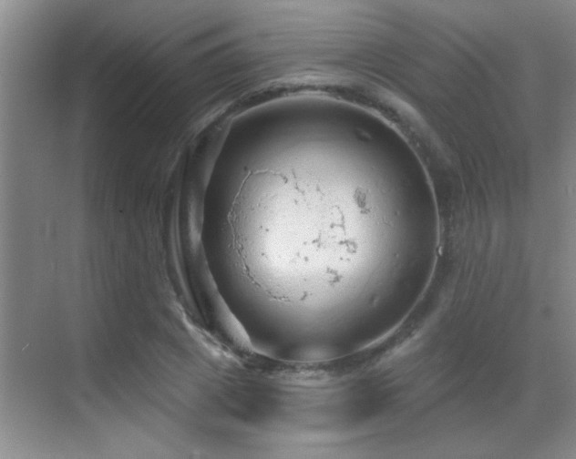 X0000069790833200605191036