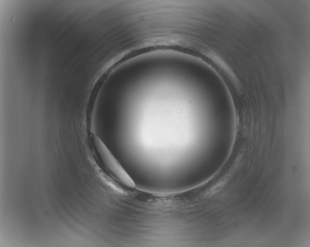 X0000069790834200605191036