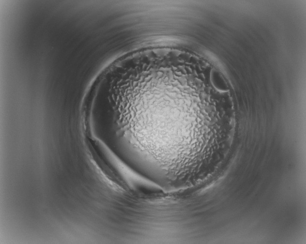 X0000069790835200605191036