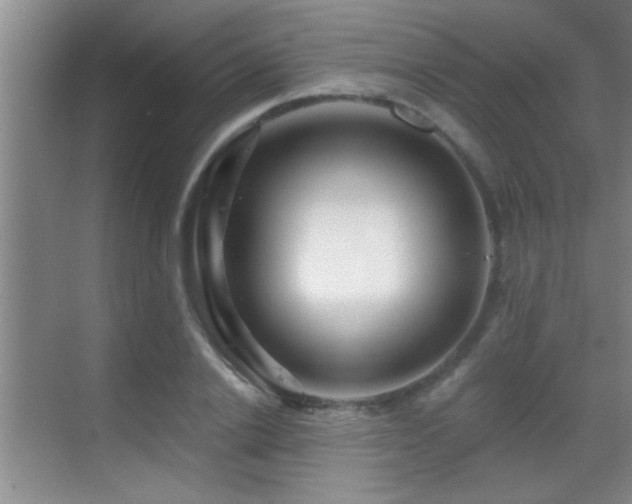 X0000069790838200605191036