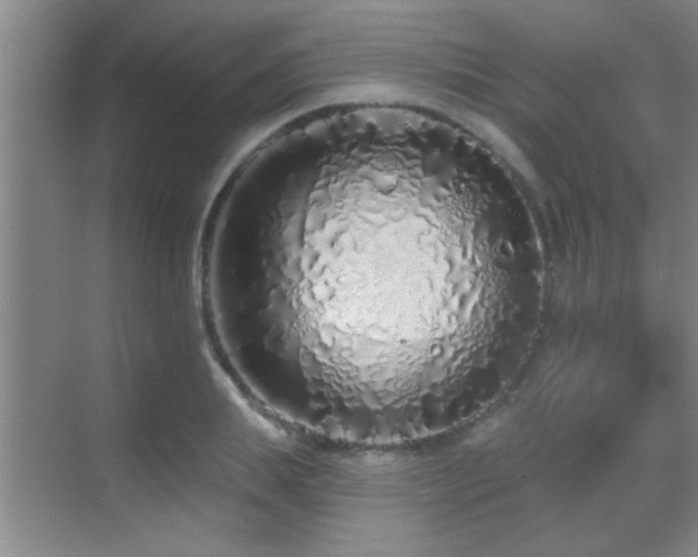 X0000069790839200605191036