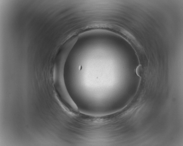 X0000069790841200605191036