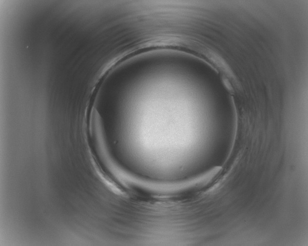 X0000069790842200605191036