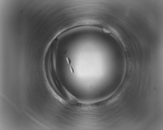 X0000069790843200605191036