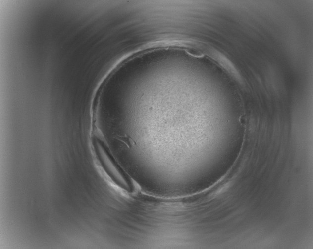 X0000069790844200605191036