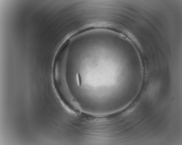 X0000069790845200605191036